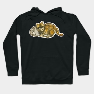 Crime and the Raccoon Solution Hoodie